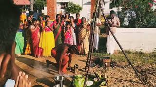 🎋Happy pongal🎋തമിഴ്നാട് പൊങ്കൽ വിശേഷങ്ങൾ 😍#trending #trendingshorts #shorts #short #malayalam