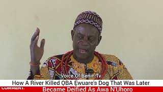 How A River K!llēɗ OBA Ewuare's Dog That Was Later Deified As Awa N'Uhoro