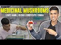 Medicinal Mushrooms Explained: Lions Mane, Cordyceps, Reishi, Chaga