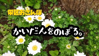 122  栄区おさんぽ　階段