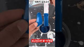 대륙의 숨은 고수, 보고 있으면 읭? 하게 됨 #쇼츠 #대륙 #숨은고수