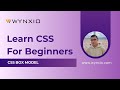 CSS Box Model