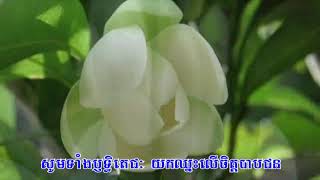 241 សែនសប្បាយរីករាយ