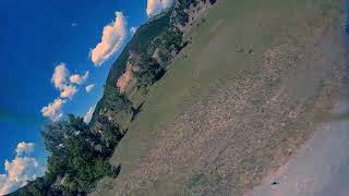 FPV Freestyle: Murdering Trees with ShortyFPV