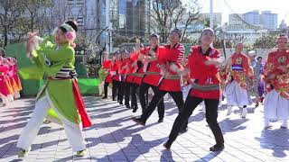 「総踊り②」“この地へ” ふるさと祭り東京② 2019/1/14（月祝）