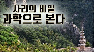 사리의 비밀 3 - 과학으로 본다.