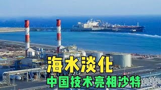 中国海水淡化技术走向沙特，日产水量60万立方，创吉尼斯世界纪录