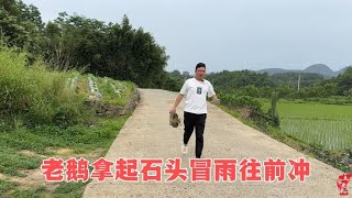 家里差点着火，小李子独自开车又出了事，老鹅这一天忙得心惊胆战