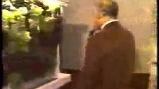 Electrocuted by grapes!