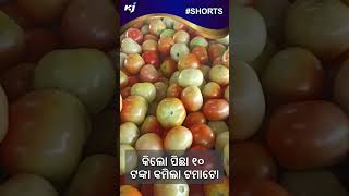 ଏବେ ଶସ୍ତା ହେବ ଟମାଟୋ  l TOMATO PRICE l TOMATO PRICE LOW l NEPAL TOMATO l SHORTS