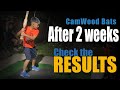 CamWood Bat 2 week progress Results