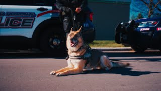 What Happens When Police Dogs Retire?