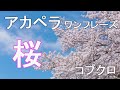 【アカペラ】ワンフレーズ 桜を歌ってみた コブクロ