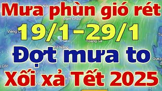 Dự báo thời tiết hôm nay và ngày mai 20/1/2025 | dự báo bão mới nhất | thời tiết 3 ngày tới