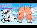 What is Air Made Of? | COLOSSAL QUESTIONS