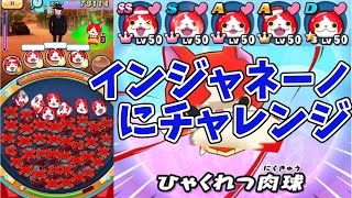 【妖怪ウォッチぷにぷに】インジャネーノにジバニャンチームで初見チャレンジ！