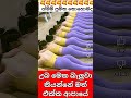 මෙක බැලුවොත් උබත් අපායෙ 👿💯💥 lamborghini youtubeshorts 2million 1millon breakingnewslive funny