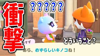 【あつ森】11月新要素！入手困難な「めずらしいキノコ」を住民にプレゼントすると・・・【あつまれどうぶつの森/Animal Crossing/アップデート/冬アプデ/秋アプデ/ハロウィン/ハーベスト】