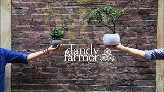 Dandy Farmer Modern Bonsai - Our Story