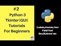 #2 Tkinter & Python 3 Tutorials For Absolute Beginners - Labels,Frame,TextFields & Box