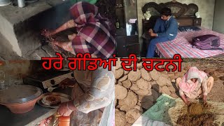 online ਤਾਂ ਇਹ ਚੀਜ਼ ਬਹੁਤ ਮਹਿੰਗੀ ਮਿਲਦੀ ਹੈ। daily life style routine by Saharan family vlog