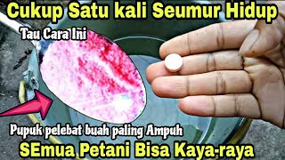 CUKUP SATU KALI SEUMUR HIDUP TAU CARA INI❗❗SEMUA PETANI BISA KAYA - RAYA - PUPUK CAIR SUPER AKTIF