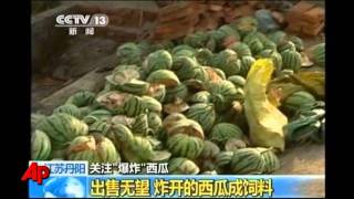 Watermelons Explode Because of Chemical