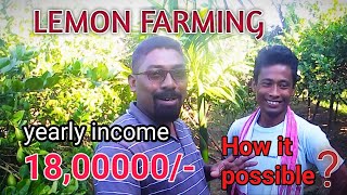 LEMON FARMING IN ASSAM ll YEARLY INCOME 18LAKH ll