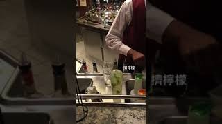 太陽公主遊輪調酒篇 -莫西多Mojito \u0026 屏東鴨子酒吧（DUCK PUB ）🐤