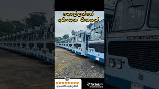 හැම කොල්ලෙක්ගේම හීනයක් තමයි තමන්ගෙම කියලා අලුත්ම අලුත් බස් එකක් ගන්න එක.හා බොරුද?🥰🥰🥰🥰🥰🥰🥰