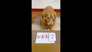 狗子：咱家是破产了吗？养不起我直说！#萌宠出道计划   #万物可爱计划  #宅家治愈记