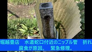 水道管、蛇口の根元からぽっきり折れ。緊急修理。【堀越畳店】