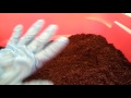 worms in coco coir and sand just arrived