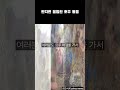 만지면 불법인 호주 동물 shorts 호주동물 호주여행 쿼카