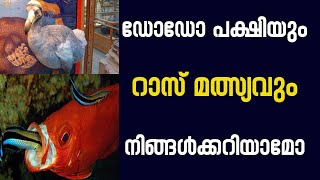 ഡോഡോ പക്ഷിയും റാസ്‌ മത്സ്യവും നിങ്ങൾക്കറിയാത്ത കാര്യങ്ങൾ