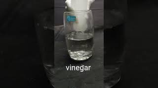 2 awesome experiment with vinegar science experiment     #shorts#shortvideo
