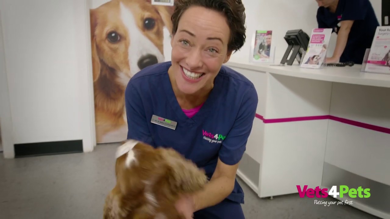 Complete Care Tv Advert 2019 Vets4pets Youtube
