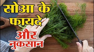 सोआ के फायदे और नुकसान | dill leaves benefits | sowa ke fayde