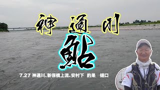 7. 27 神通川、新保橋上流、安村下  釣果