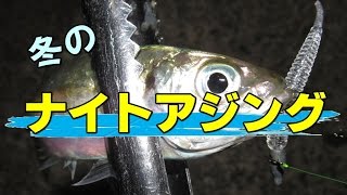 【冬のナイトアジング】常夜灯に集まるアジを釣る！寒い中でも、アジ特有の「コツッ」というアタリでモチベーションアップ！１g以下のジグヘッドを駆使して寒さに負けず数釣りを楽しんでみよう！