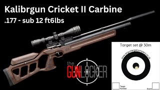 Airgun Accuracy - Kalibrgun Cricket II Carbine .177 - Accurate Even in Strong Winds