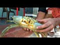 തോണിയിൽ പോയി ഞണ്ട് പിടുത്തം crab hunting kerala