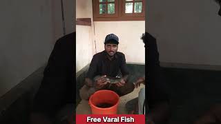 റോഡ് ഉപയോഗിച്ച് ആദ്യമായി കിട്ടിയ മീൻ 🐟🔥||Free Varal Fish 🐟#keralfisng#malayalam#fishingfreaks #fish