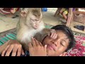 haha oral care physician zueii asmr monkey grooming cute her brother