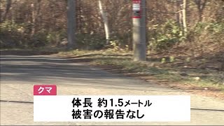 札幌市内でクマ目撃　夜中に道路を横切る　前日には3件の目撃情報 (19/04/20 12:20)