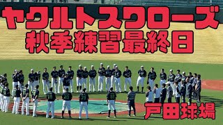 戸田球場散歩。一本締め！ヤクルトスワローズ秋季練習最終日（2024年11月17日）