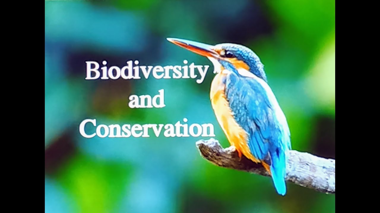 Biodiversity And Conservation Part-II # Conservation Categories And Policies# Environmental ...