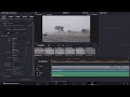 Avid tutorial: Transcoding in Resolve for Avid (updated)