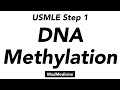 DNA Methylation - Biochemistry - USMLE Step 1