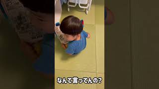 【3歳児】お父さんの知能を上回る3歳児！